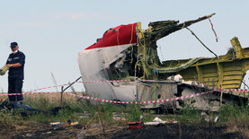 MH17.       ,     