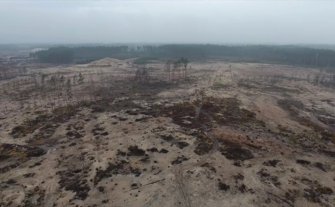 Журналист показал последствия незаконной добычи янтаря на Волыни: видео