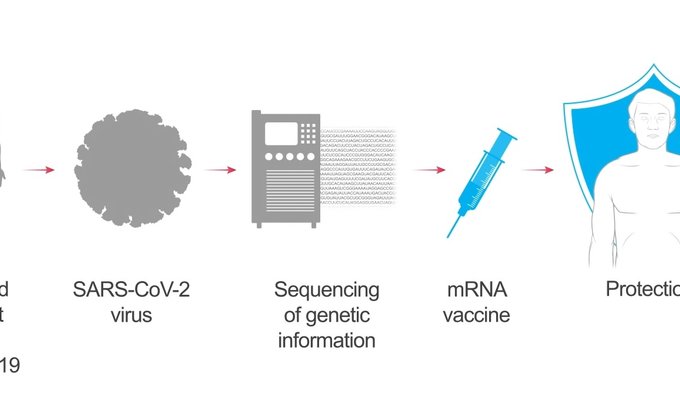 Новейшая технология против коронавируса. Как работает мРНК-вакцина – видео