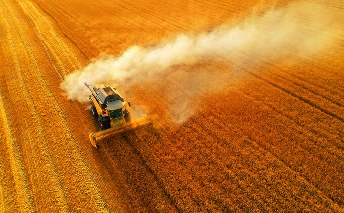 Торгівля на ураження. Куди Україні дівати зерно